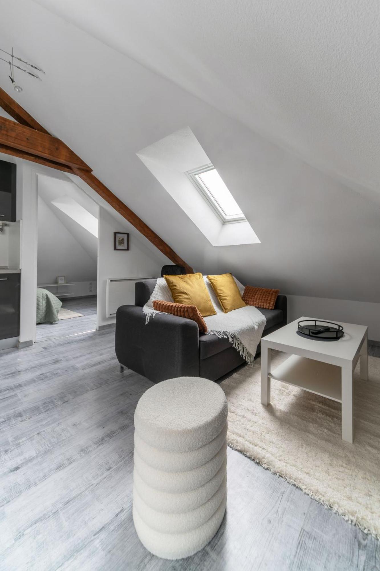 Residence La Provence - Appartements Proches Centre Ville Vichy Eksteriør billede